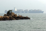 _MG_4307-2