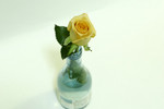ISO 200