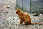 IMG_9837-2