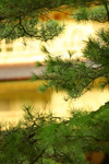 BIMG_9758