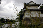 AIMG_9823