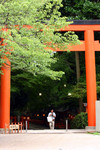 BIMG_9847