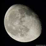 _MG_5220-2