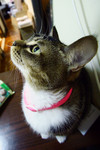 a_MG_6886