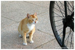aIMG_0196-2