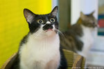 _MG_1746-2_filtered