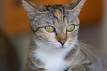 _MG_7778-2