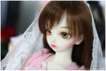 a745C4533