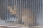 _MG_3749-2