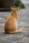 _MG_3751-2