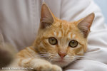_MG_3759-2