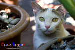 _MG_0019-2