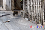 _MG_0027-2