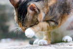 _MG_8970-2