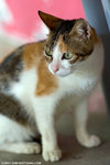 _MG_8981-2