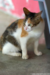 _MG_8982-2