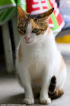 _MG_8996-2