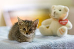 _MG_0639-2