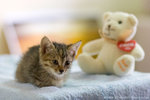 _MG_0641-2