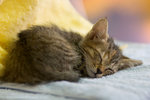_MG_0683-2