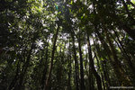 a_MG_2036
