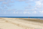a_MG_2099