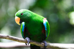 a_MG_2184
