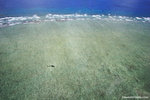a_MG_2311
