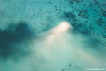 a_MG_2324