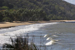 a_MG_2361