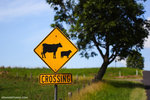 a_MG_2537