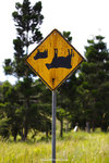 a_MG_2542