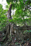 a_MG_2586
