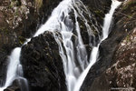 b_MG_2578