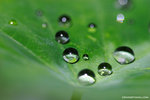 a_MG_2614
