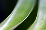 a_MG_2621