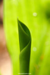 a_MG_2628