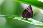 a_MG_2631
