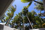 a_MG_2658
