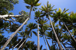 a_MG_2668