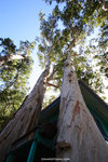 a_MG_2687