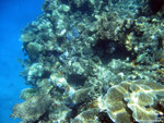 aIMG_0017