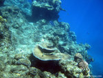 aIMG_0018