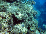 aIMG_0022