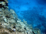 aIMG_0027