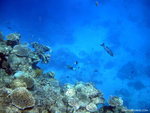 aIMG_0029