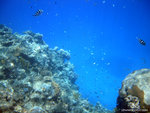 aIMG_0030