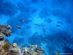 aIMG_0031