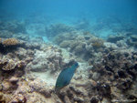 aIMG_0037