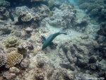 aIMG_0038